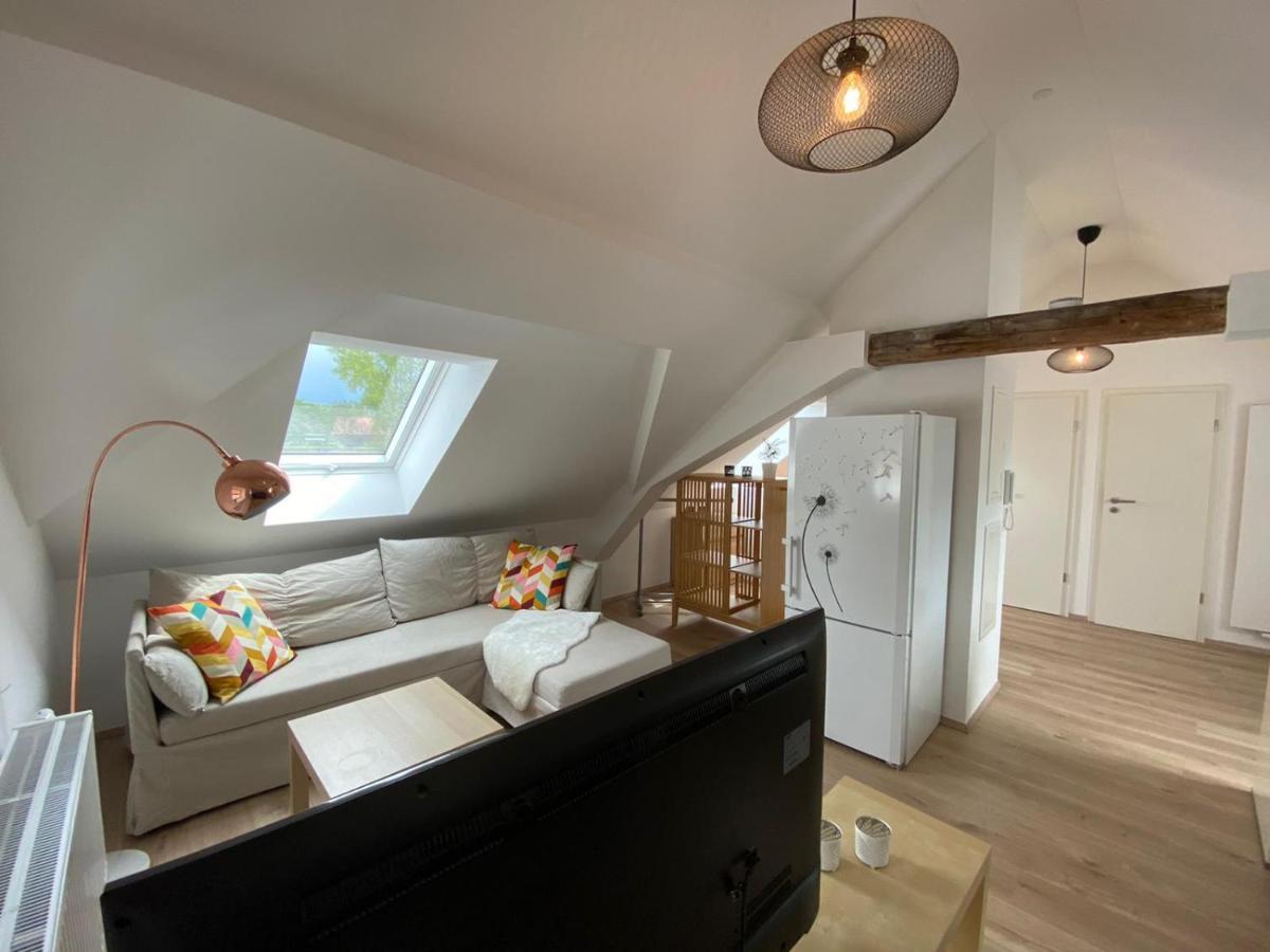 Helle 2 Zi. Wohnung Naehe Flughafen Muenchen Haimhausen  エクステリア 写真